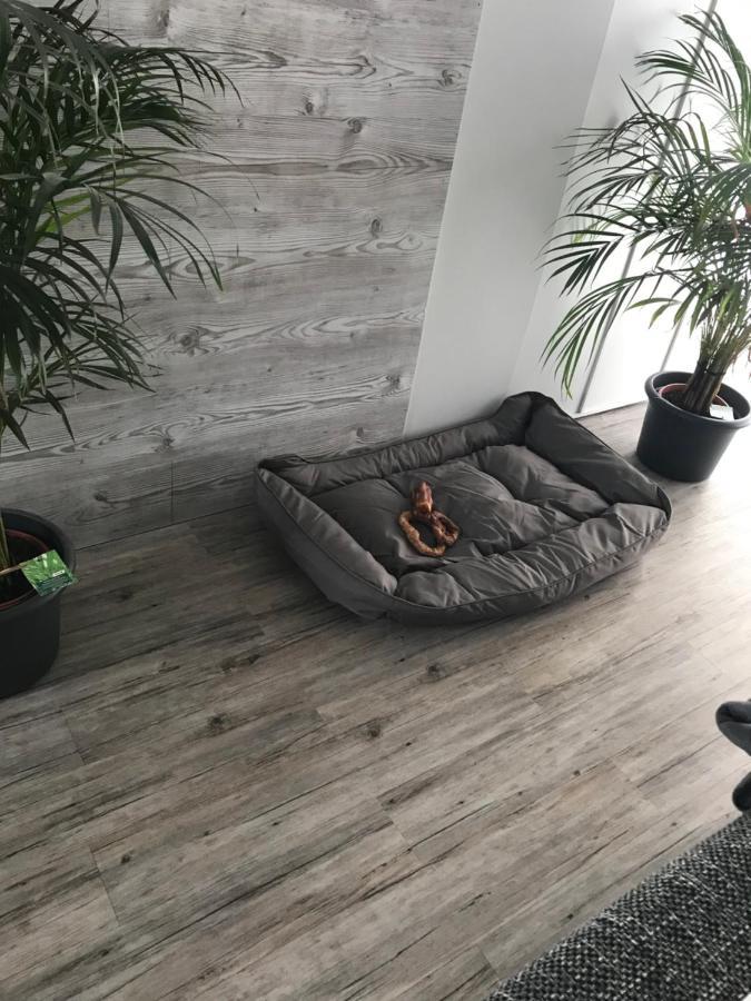 Jeannette Apartment Балинген Екстериор снимка